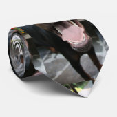 doberman-close stropdas (Opgerold)