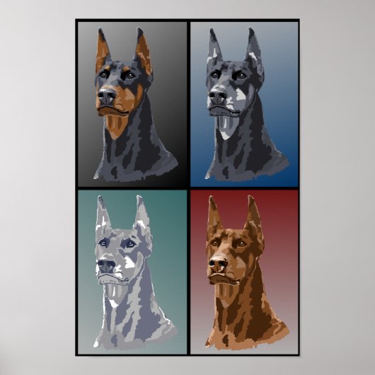 Doberman Colors Poster (Voorkant)