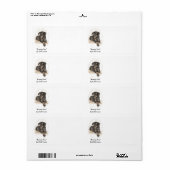 Doberman Dog Natural Ears Etiket (Full Sheet)
