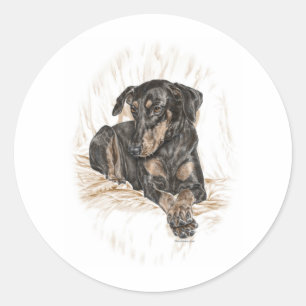 Doberman Dog Natural Ears Ronde Sticker
