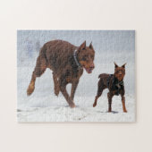 Doberman en Min Pin - KIJK! Een mini voor mij! Legpuzzel (Horizontaal)