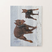 Doberman en Min Pin - KIJK! Een mini voor mij! Legpuzzel (Verticaal)