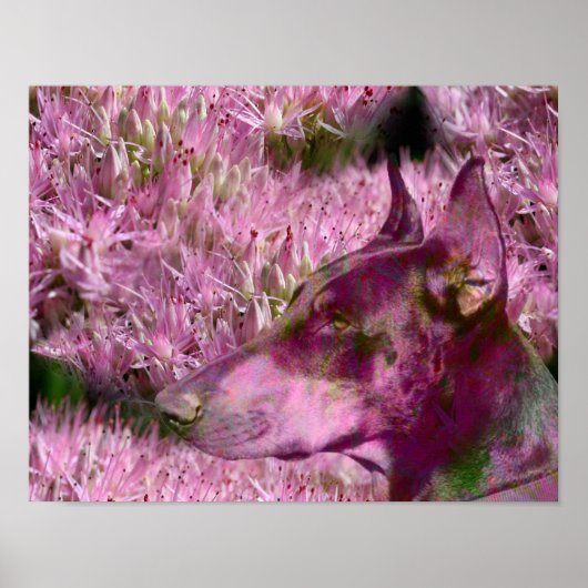 Doberman en roze bloemen fantasy Dog Art Poster (Voorkant)