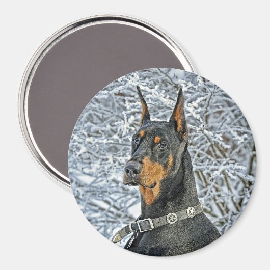 Doberman Fosty Day Magneet (Voorkant / Achterkant)