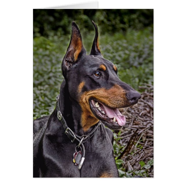 Doberman Glee! Kaart (Voorkant)