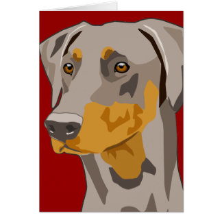 Doberman Head, Fawn, niet gekraakt