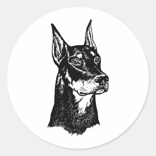 DOBERMAN HEAD RONDE STICKER (Voorkant)