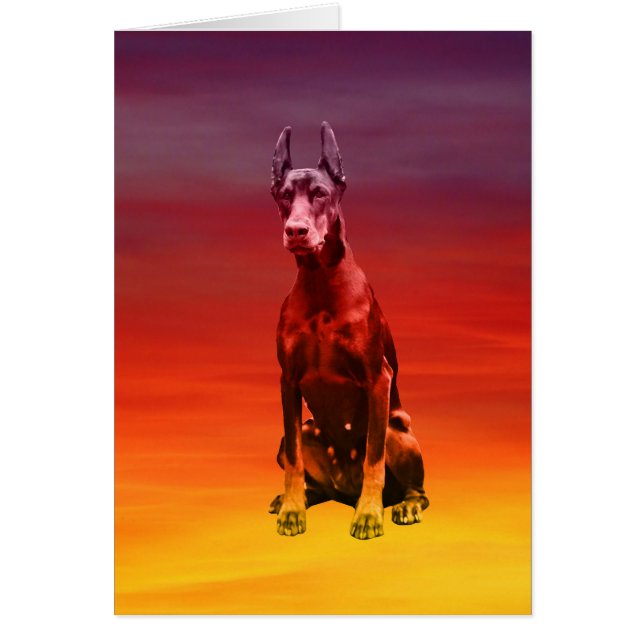 Doberman hond zitten op het strand (Voorkant)