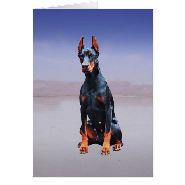 Doberman hond zitten op het strand (Voorkant)