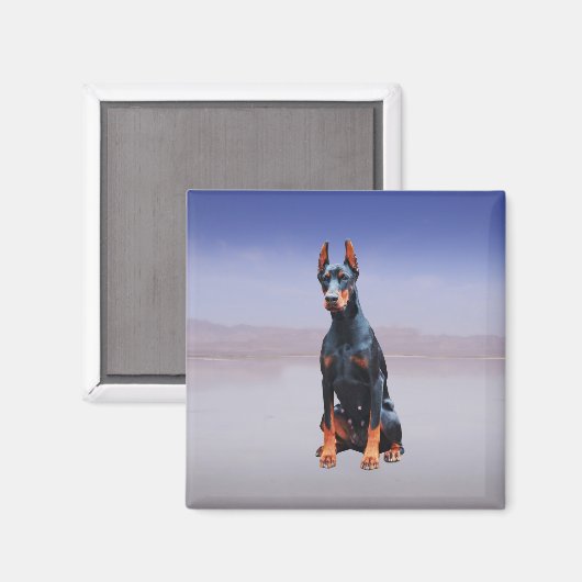 Doberman hond zitten op het strand magneet (Voorkant / Achterkant)
