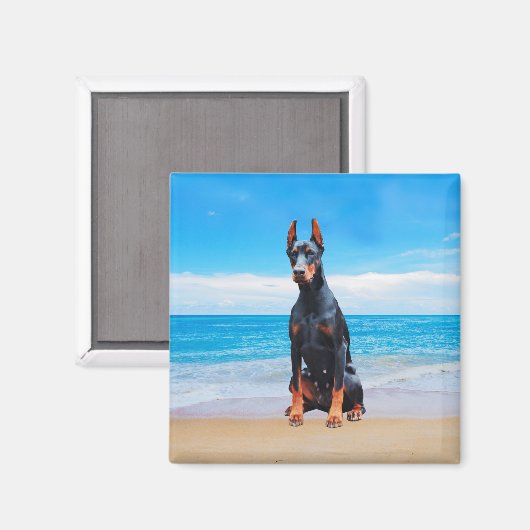 Doberman hond zitten op het strand magneet (Voorkant / Achterkant)