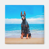 Doberman hond zitten op het strand magneet (Voorkant)