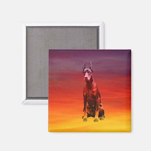 Doberman hond zitten op het strand magneet (Voorkant / Achterkant)