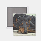 Doberman Hondenmagneet Magneet (Voorkant / Achterkant)