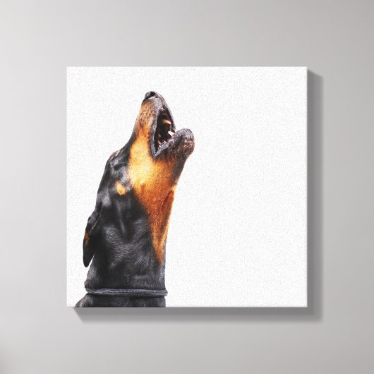 Doberman howling, close-up canvas afdruk (Voorkant)