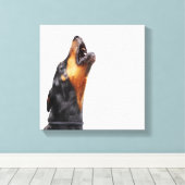 Doberman howling, close-up canvas afdruk (Insitu (Houten vloer))