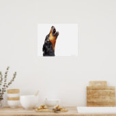 Doberman howling, close-up poster (Keuken)