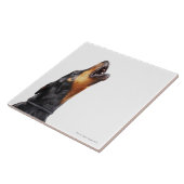 Doberman howling, close-up tegeltje (Zijkant)