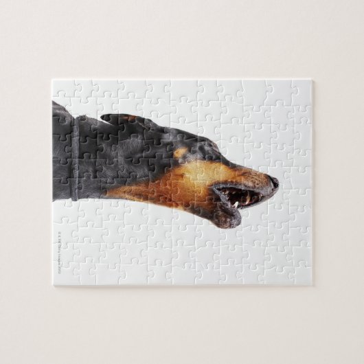 Doberman howling legpuzzel (Horizontaal)