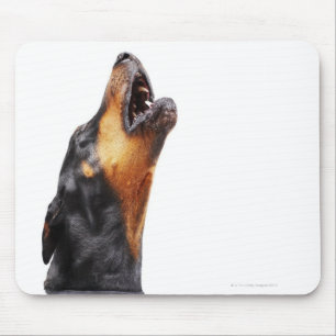 Doberman howling muismat