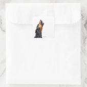 Doberman howling vierkante sticker (Tas)