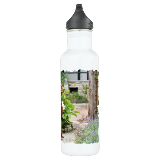 Doberman - In de kerktuin Waterfles (Rechts)