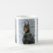 Doberman in de Mok Frosty Snow (Center)