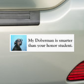 Doberman is slimmer dan eerling student bumpersticker (Op auto)