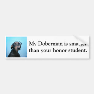 Doberman is slimmer dan eerling student bumpersticker