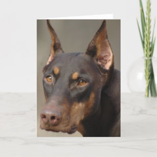 Doberman Kaart