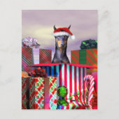 Doberman-kerstverrassing Feestdagenkaart (Voorkant)
