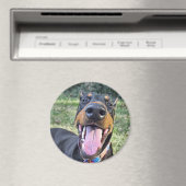 Doberman lachend magneet (Insitu (Vaatwasser))
