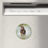 Doberman Magnet (Insitu (Vaatwasser))