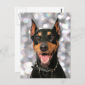 Doberman - Megyan Briefkaart (Voorkant / Achterkant)