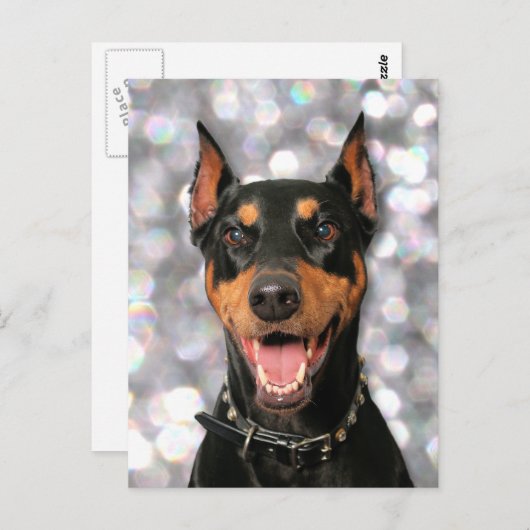 Doberman - Megyan Briefkaart (Voorkant / Achterkant)