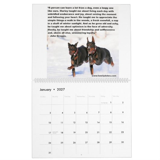 Doberman Meme Calendar Kalender (Jan 2027)