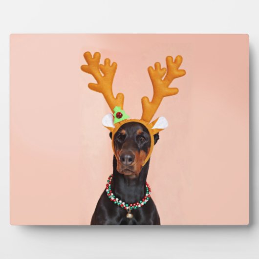 Doberman met Horns van een Deer Fotoplaat (Voorkant)