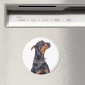 Doberman met stiekeme look magneet (Insitu (Vaatwasser))