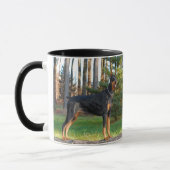Doberman Mok (Links)
