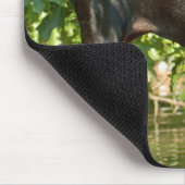 Doberman Muismat (Hoek)