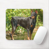 Doberman Muismat (Met muis)
