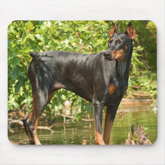 Doberman Muismat (Voorkant)