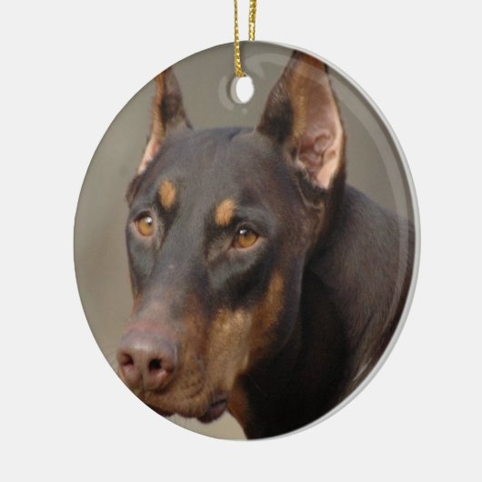 Doberman Ornament (Links)