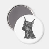 Doberman Pincher Magnet (Voorkant / Achterkant)