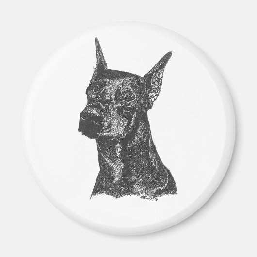 Doberman Pincher Magnet (Voorkant)