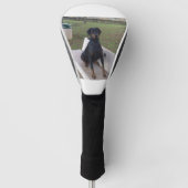 doberman pincher zittend golfheadcover (Voorkant)