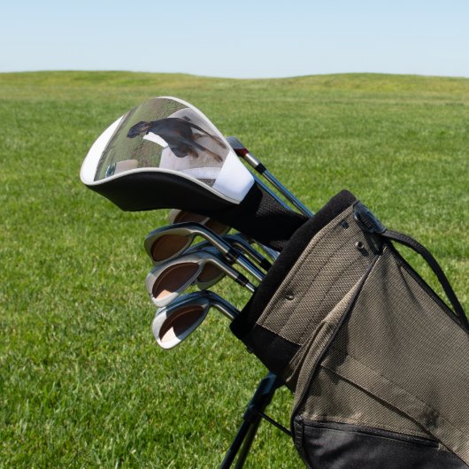 doberman pincher zittend golfheadcover (Insitu)