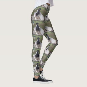 doberman pincher zittend leggings