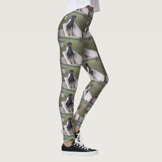 doberman pincher zittend leggings (Rechts)