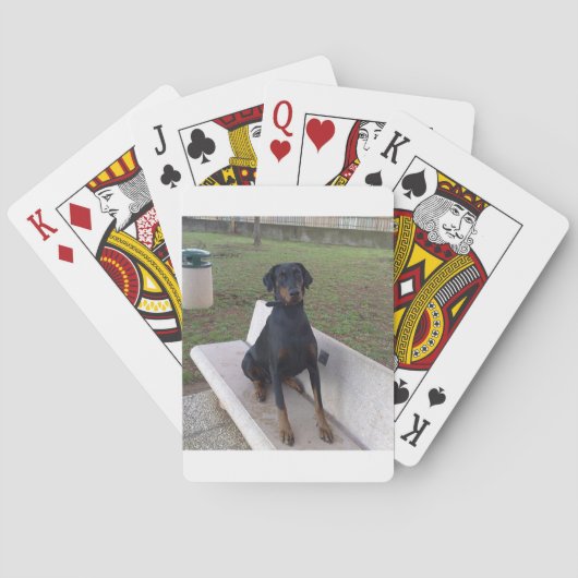 doberman pincher zittend pokerkaarten (Achterkant)